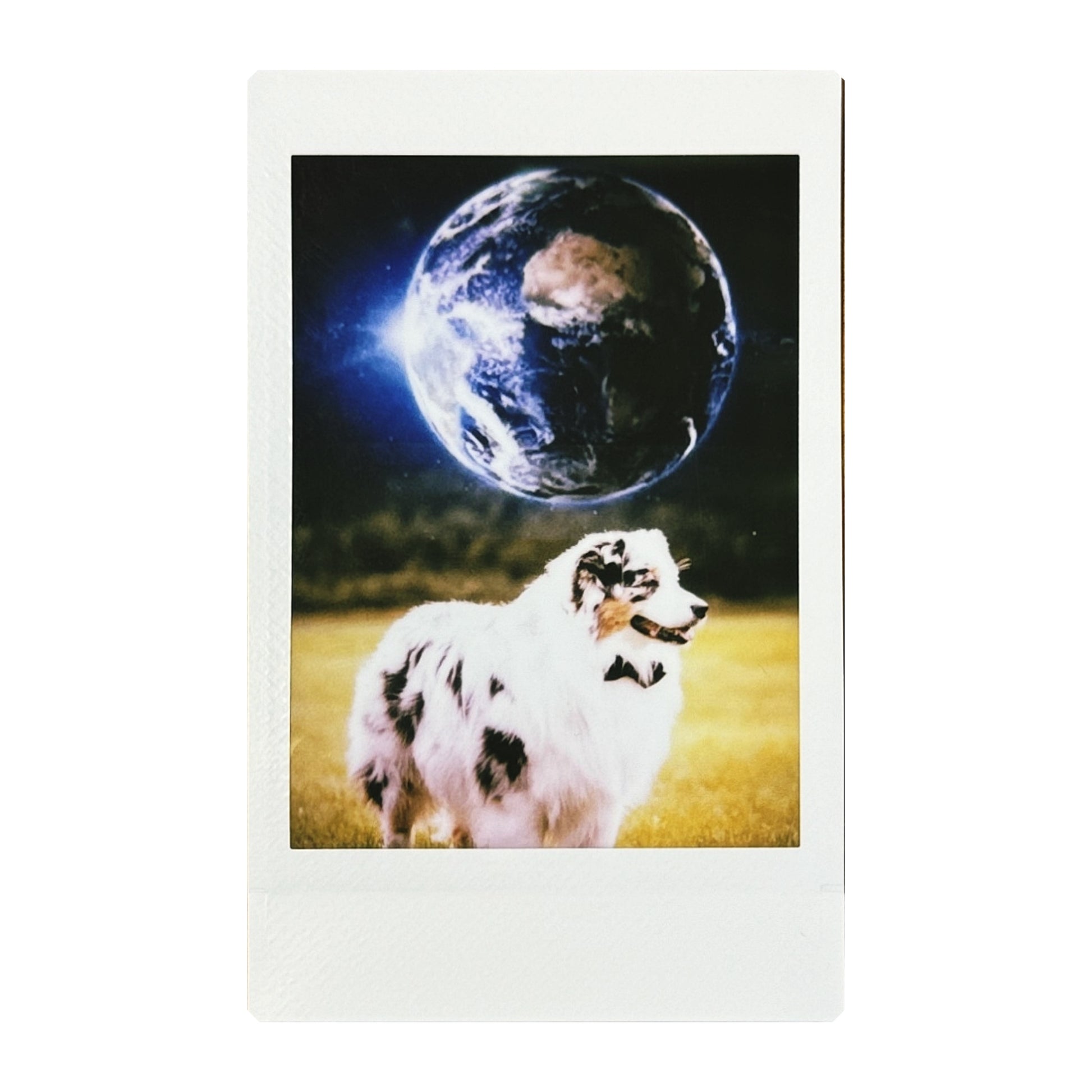 Double exposure instant photo dog with earth made with Jollylook EYE