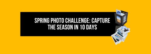 Spring Challenge High Resolution Spring Photo Challenge: Capture the Season in 10 Days β Jollylook