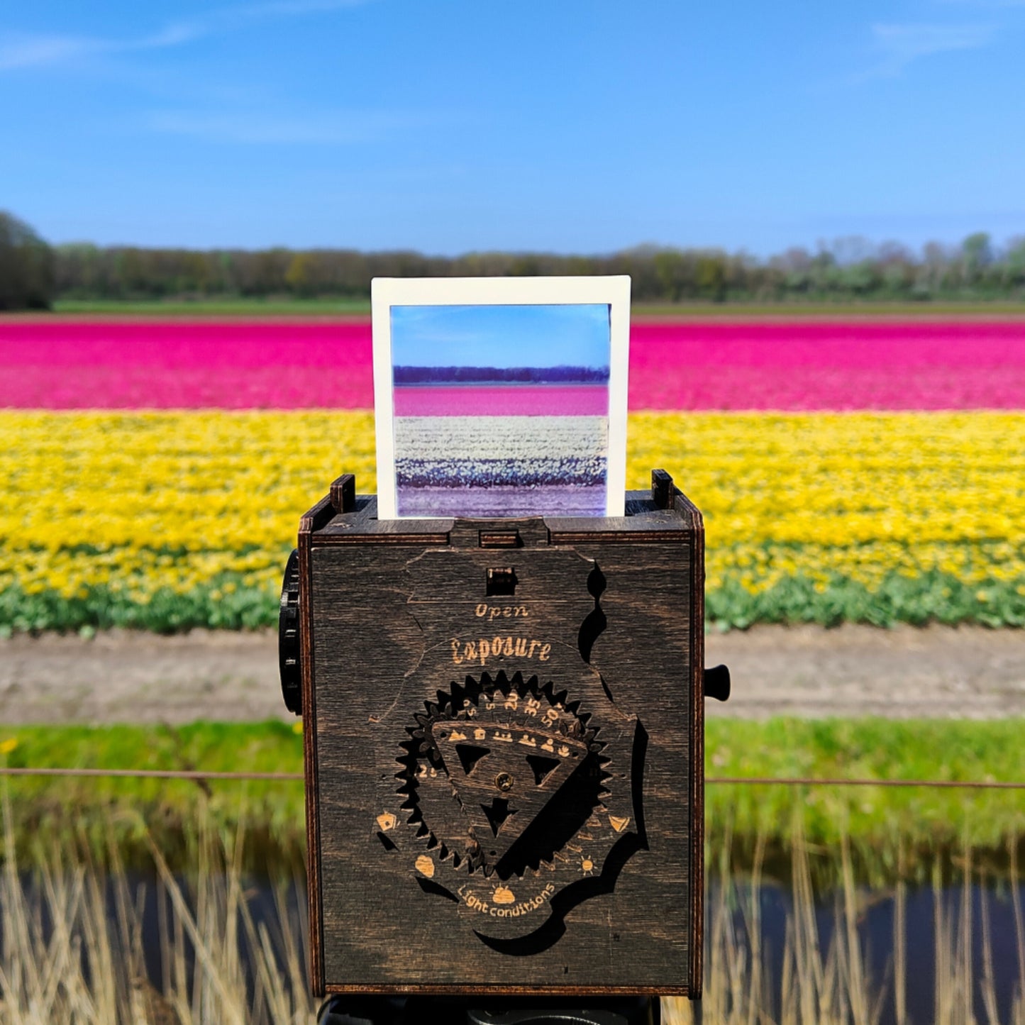 The back cover of a Pinhole SQUARE Instant Film Camera, with a flower field in the background. A freshly ejected instant photo, featuring the same stunning field, emerges from the camera.